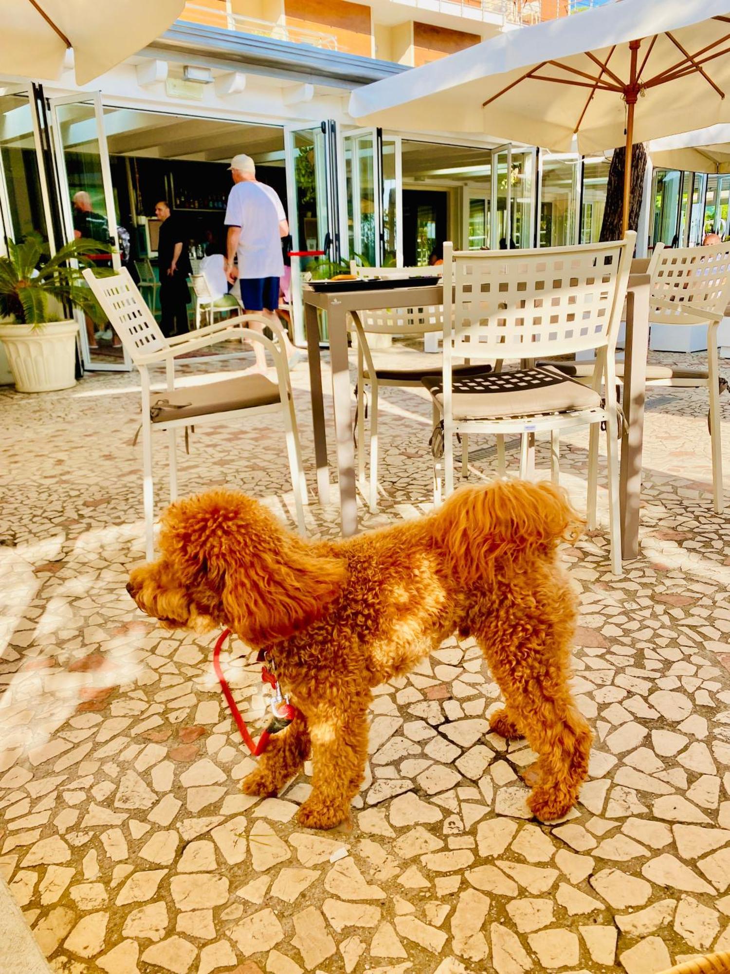 Hotel Franca Milano Marittima Exterior photo